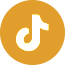 logo do tiktok